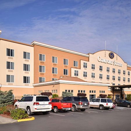 Comfort Suites Airport Tukwila Seattle Extérieur photo